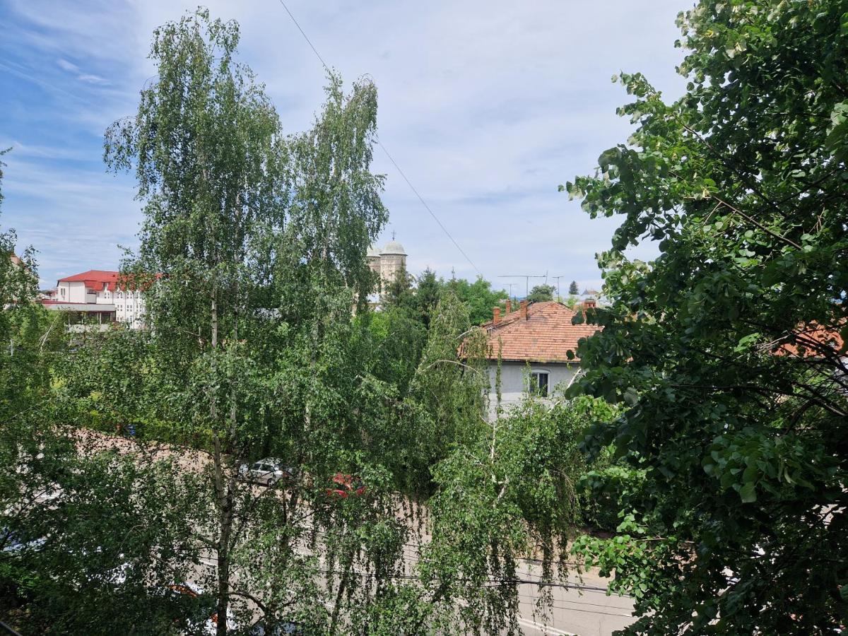 Cozy Appartment In The Center Targoviste Eksteriør billede